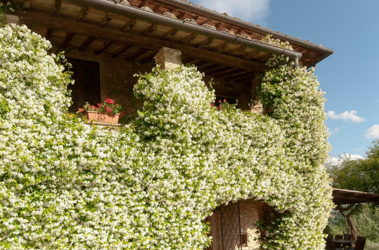 Novellina Villa Certaldo Exterior photo